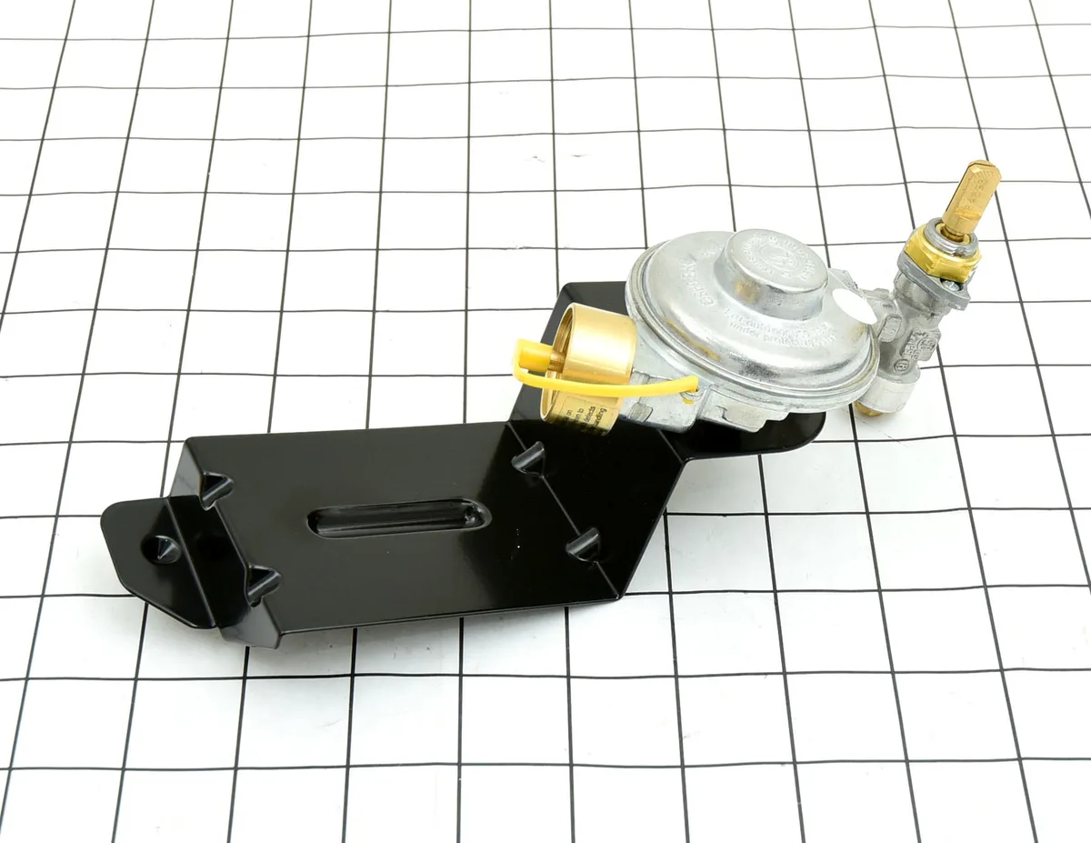 weber Weber 64866 VALVE/REG ASSY Q 1000 DB '14 BB appliance part — product photo