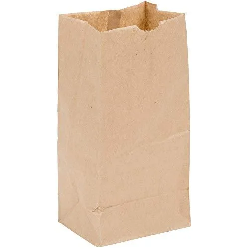  Lowepro Wynit Perfect Stix Brown Paper Lunch Bags Pack of 100 — product photo