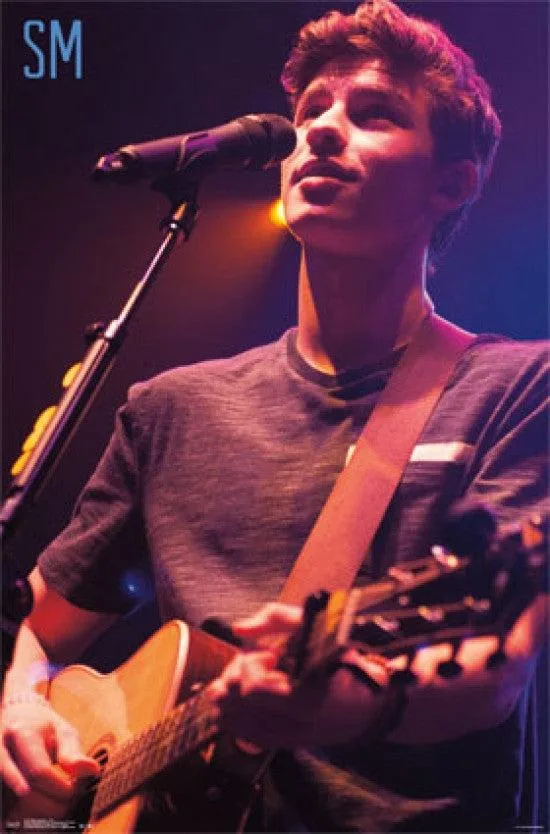 Shawn Mendes Live poster print, 24 by 36 inches, premium heavy stock paper