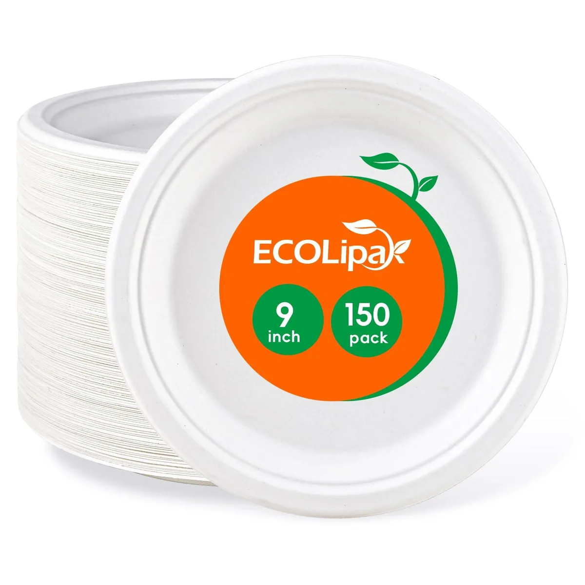 White rectangular compostable plates in a 150 pack
