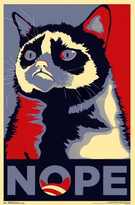Grumpy Cat Nope poster print 24 by 36 inches