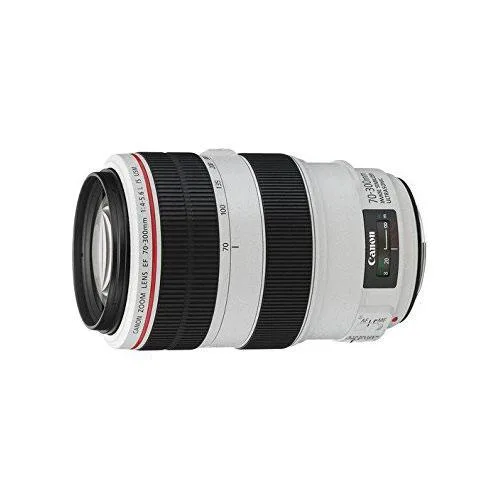 Canon Canon EF 70-300mm f/4-5.6L IS USM UD Telephoto Zoom Lens — product photo
