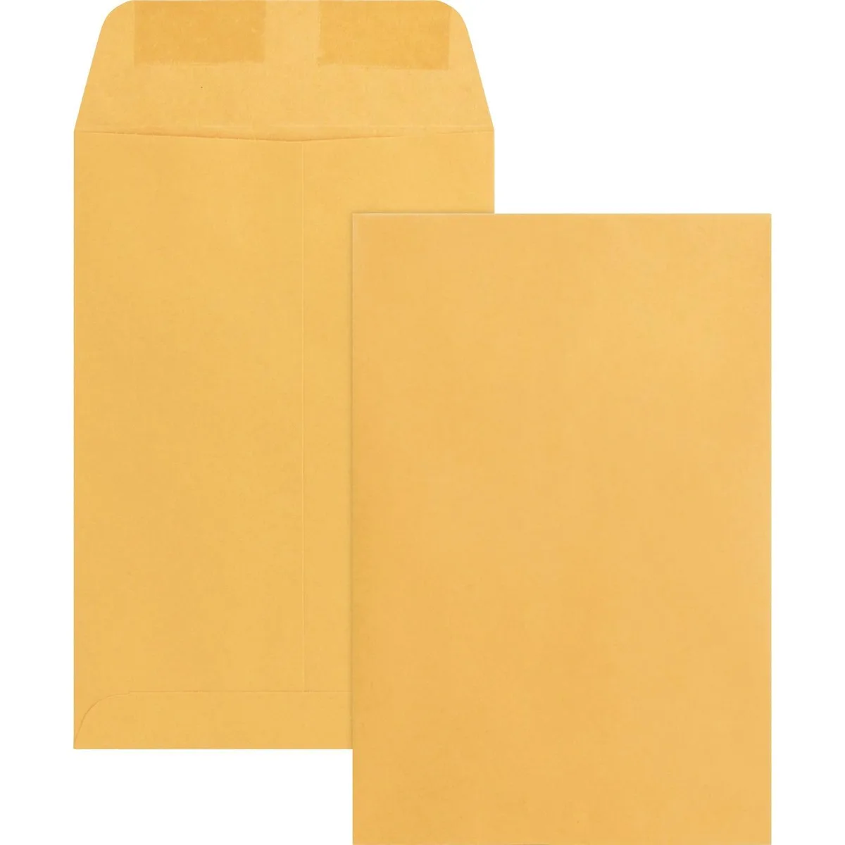 Business Source Business Source 42099 Kraft Envelope 20 lb 6x9 500/BX — product photo