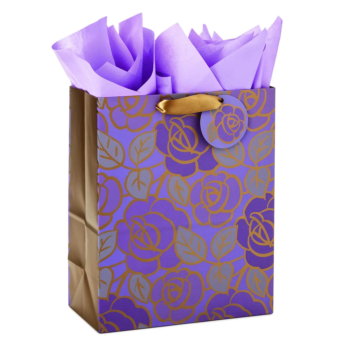 Hallmark 5WDB5999 paper craft 13" large gift bag with tissue paper — product photo