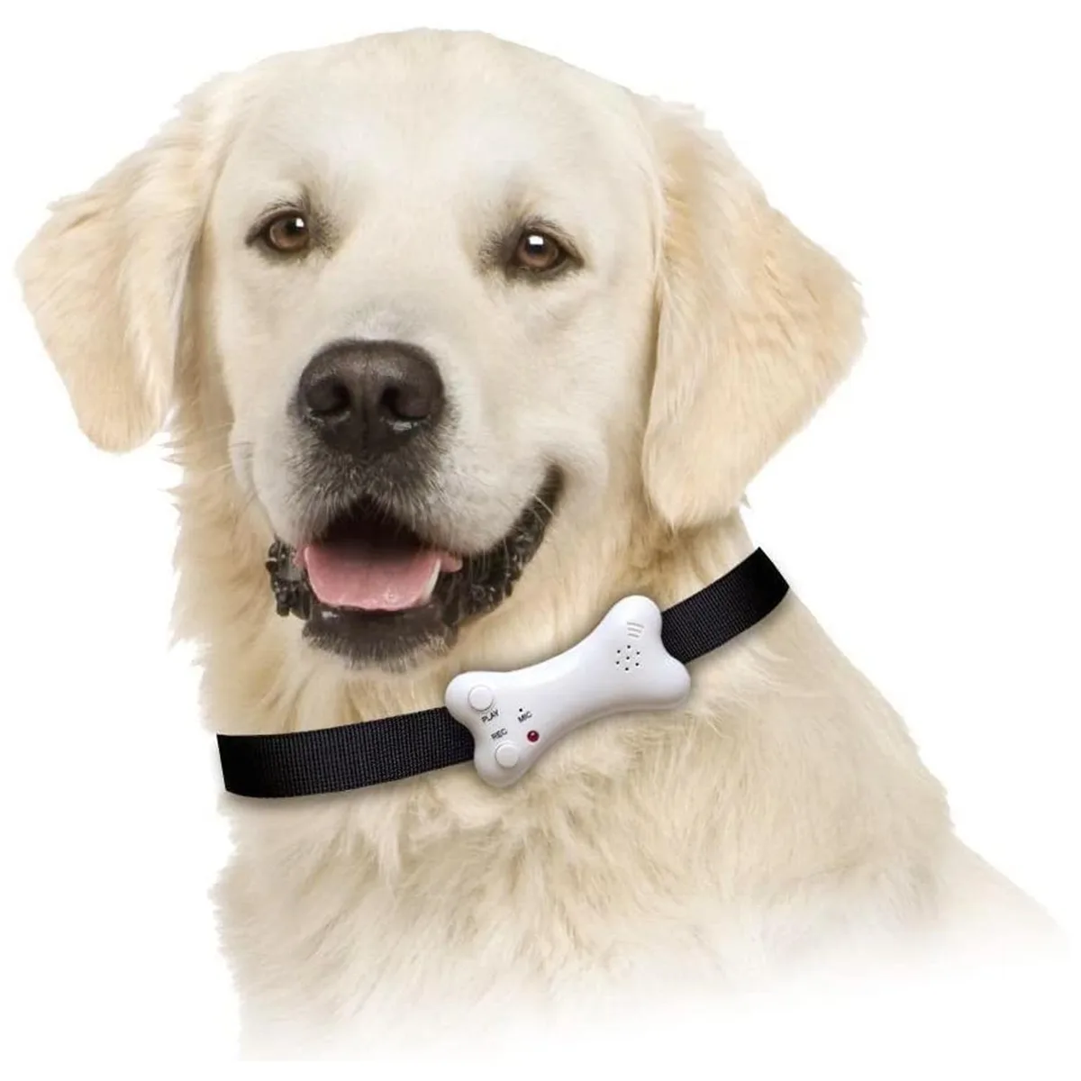As Seen On TV As Seen On TV Buster's Bone Voice Recording Pet I.D. White — product photo