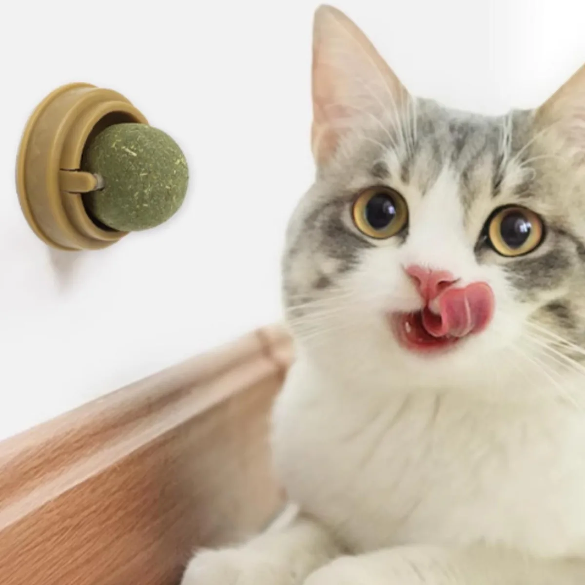 3MNSCD 3MNSCD Self-Adhesive 360° Rotatable Catnip Ball Toy — product photo