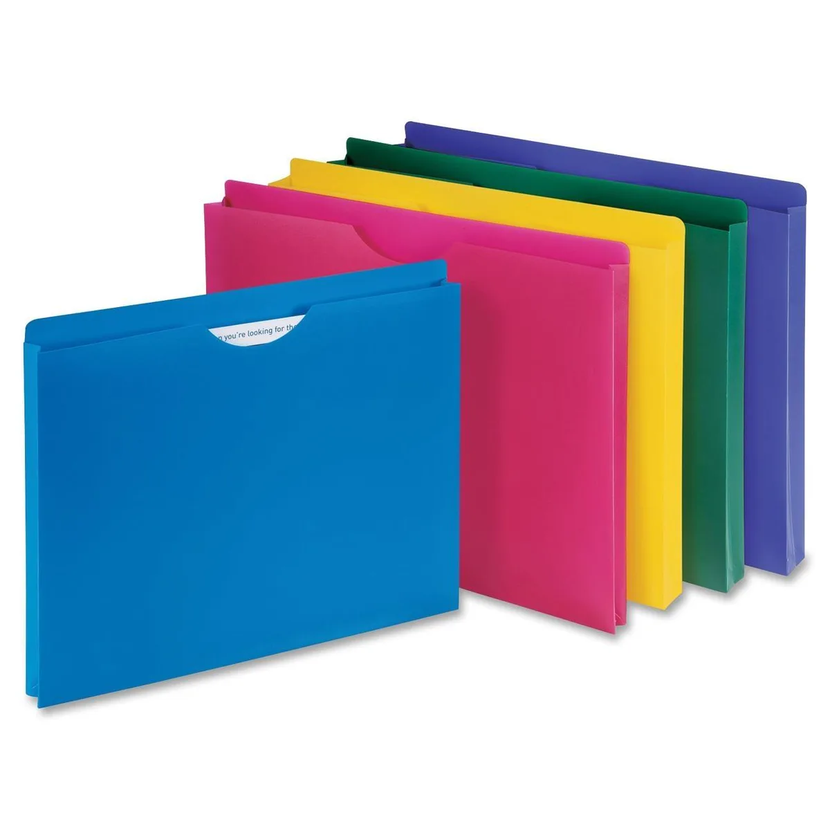 Ten translucent polypropylene file jackets in assorted colours, letter size with thumb-cut fronts