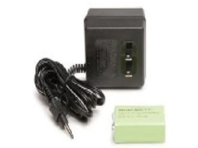 A small rectangular 110V charger with two NiMH batteries alongside