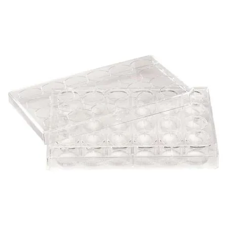 Lab Safety Supply Inc Lab Safety Supply Inc 48 Well Tissue Culture Plate with Lid PK50 667147 — product photo