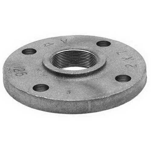 Anvil Anvil 0308008002 Cast Iron Reducing Companion Flange Trap 2 in Class 125 — product photo