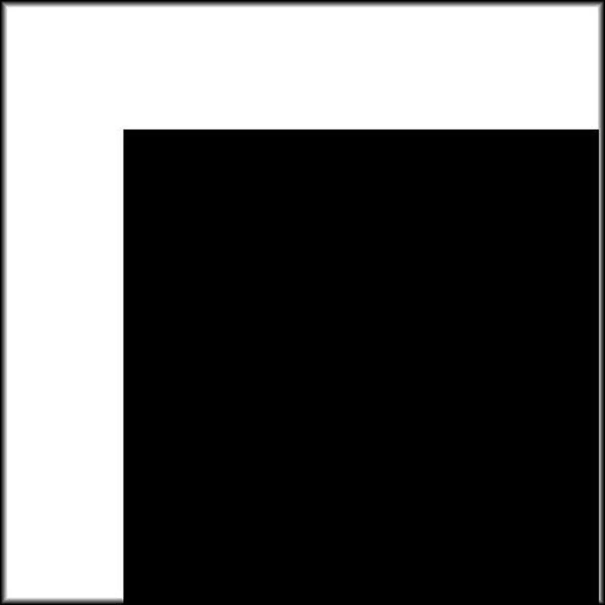 Rosco Rosco Cinegel #3840 Cinebounce 20x24" Studio Sheet White/Black — product photo