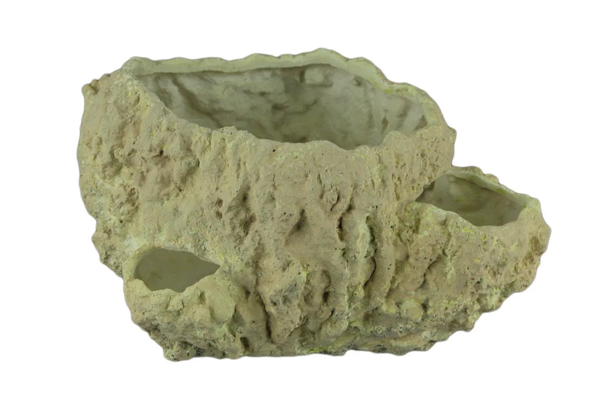Contrast Inc. Contrast Inc. Ivory Fossil Coral Vase 12.25×9.25×6 in — product photo