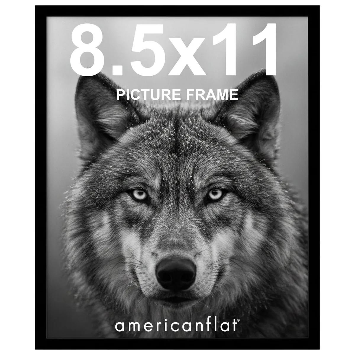 Black rectangular 8.5x11 inch plastic frame with shatter-resistant glass and thin border
