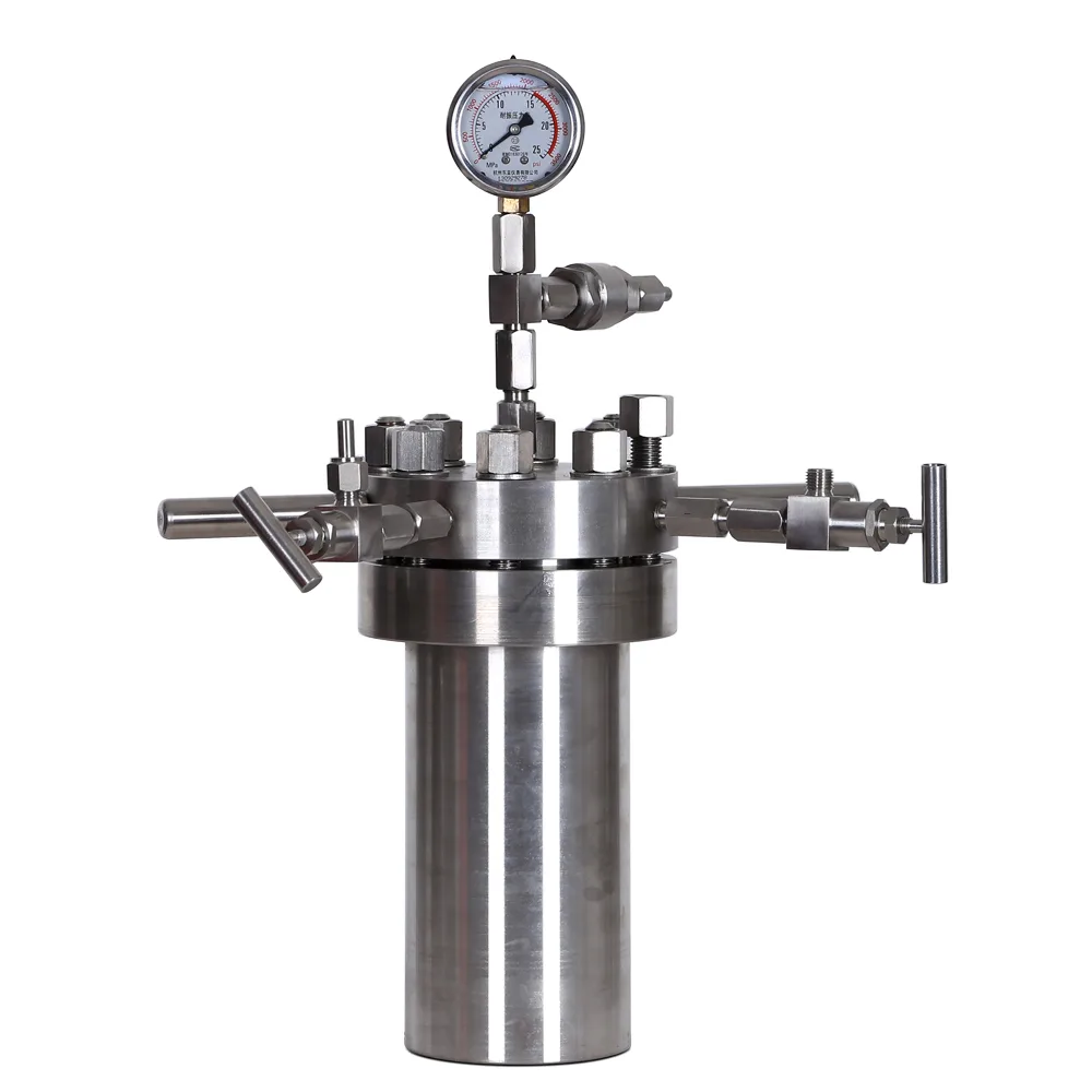 HNZXIB HNZXIB 2L High Pressure Reactor with Pressure Gauge and Needle Valve — product photo