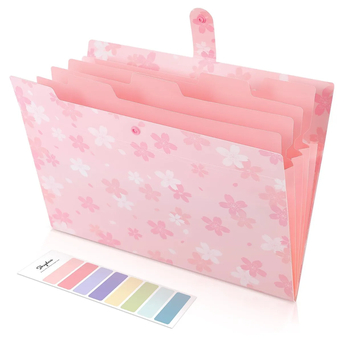 Translucent pink accordion file with five pockets