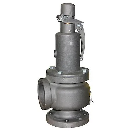 Bronze safety relief valve with test lever, 1 inch NPT connections