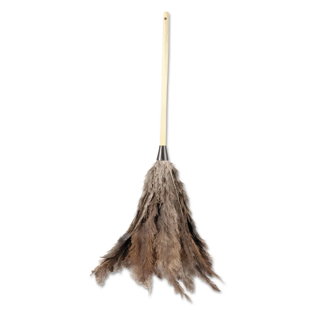 Boardwalk Boardwalk 31FD Professional Ostrich Feather Duster 16 in Handle cleaning — product photo