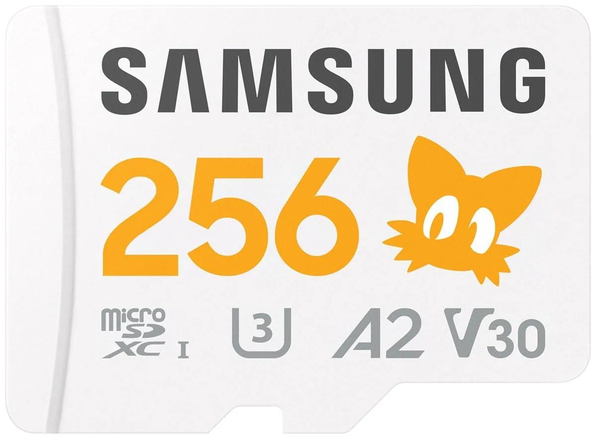 SAMSUNG SAMSUNG Sonic Pro Plus microSDXC 256 GB 180 MB/s memory card — product photo