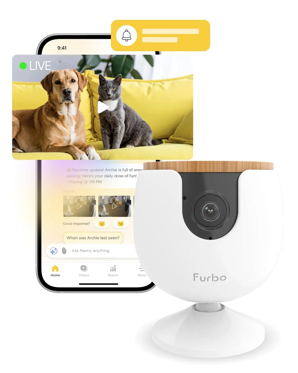 Small plastic pet camera in multi-colour finish, non-rotating 130° lens