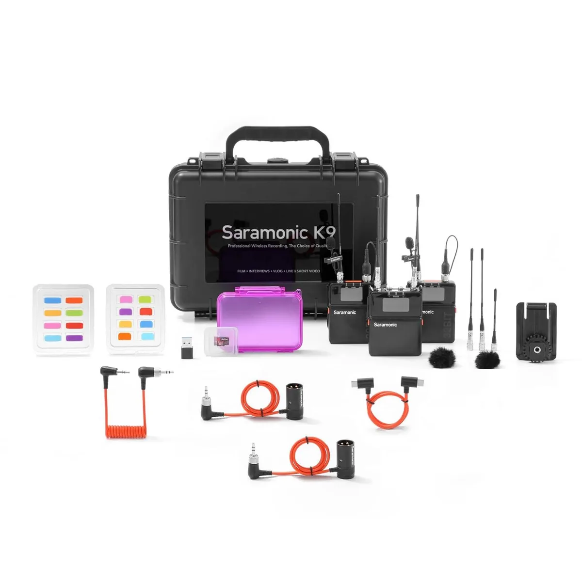 Dual wireless microphone system with mini lavaliers and charging case