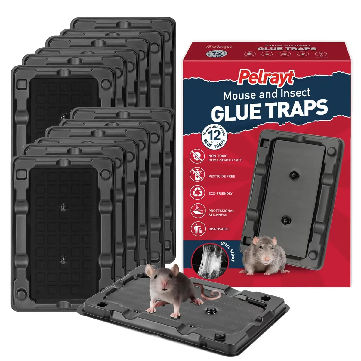 Flat black glue boards in a twelve pack
