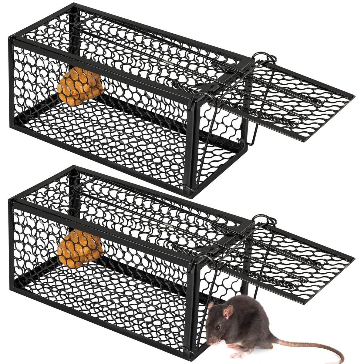 Black wire-mesh live animal trap, 9.1 by 4.5 by 4.5 inches, spring-loaded door