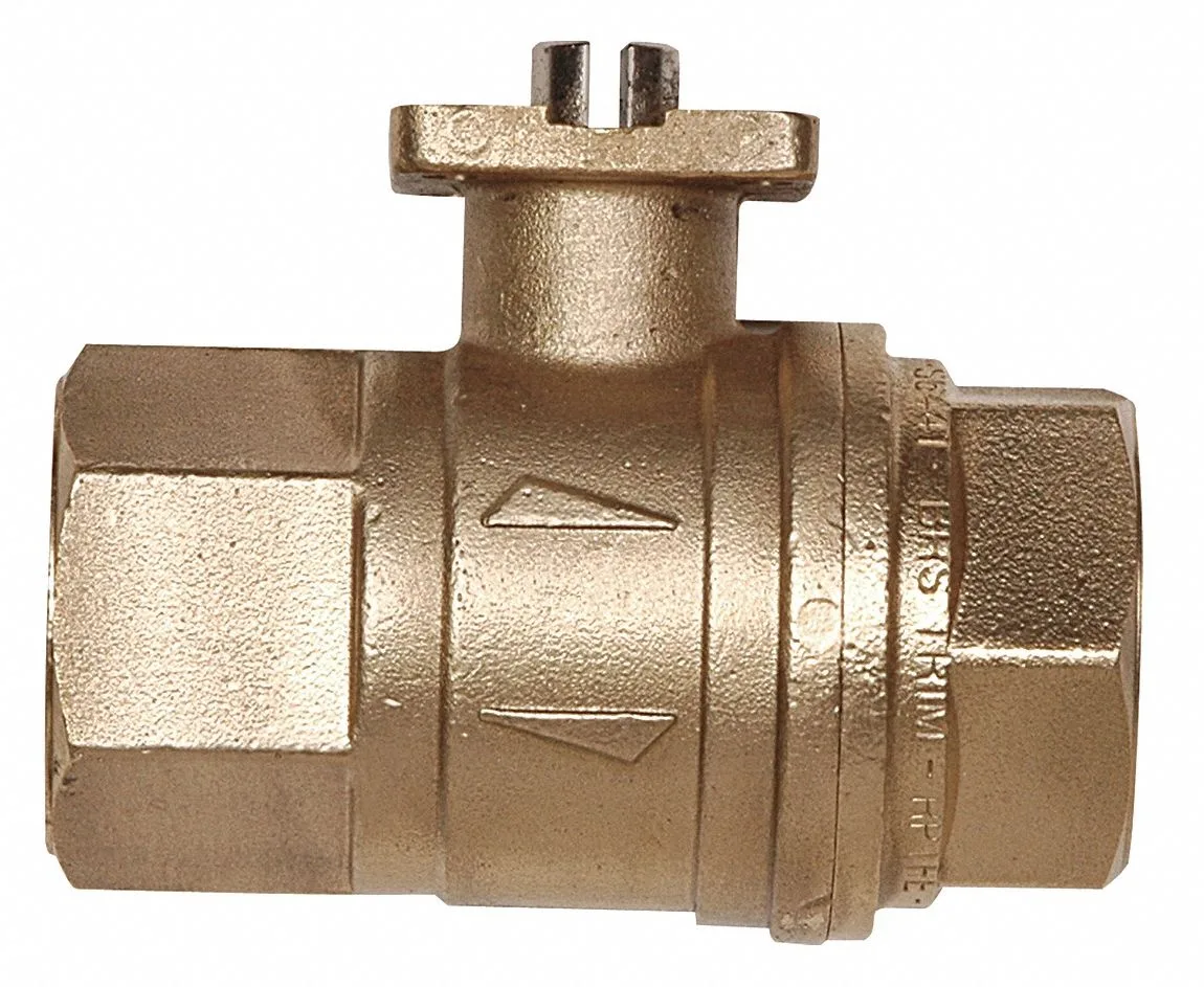 Dynaquip Controls Dynaquip Controls 189147.01 Valve 1-1/2 In Transparent HVAC control — product photo