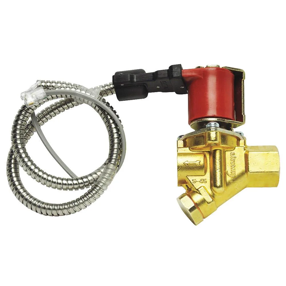 Robertshaw Robertshaw K-66685 Sloan energy conserving water valve 18 FNPT — product photo