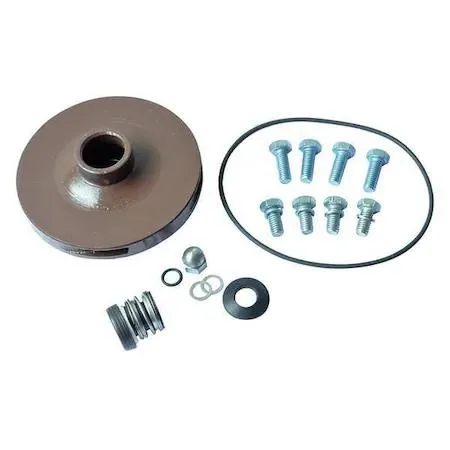 Dayton Dayton 21TH19 Pump Repair Kit for 2ZXJ5 and 2ZXJ6 — product photo
