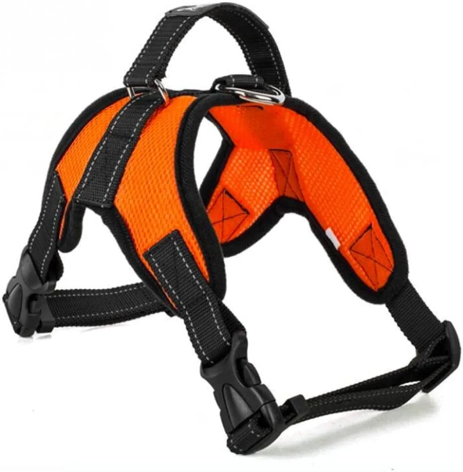 The Perfect Part The Perfect Part No Pull Dog Harness Orange Mesh — product photo