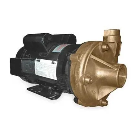 Bronze centrifugal pump with TEFC motor housing, 3 HP 230V single phase