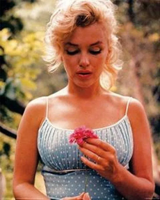 Poster of Marilyn Monroe holding a flower, 24 by 36 inches