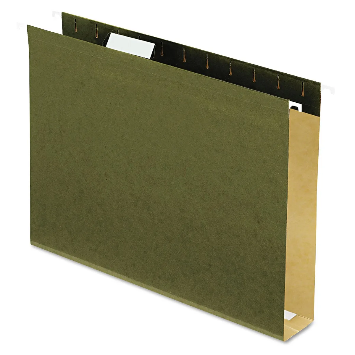 Pendaflex Essentials Pendaflex Essentials 4152X2 25 hanging folders 2in expansion 11pt green accessory — product photo