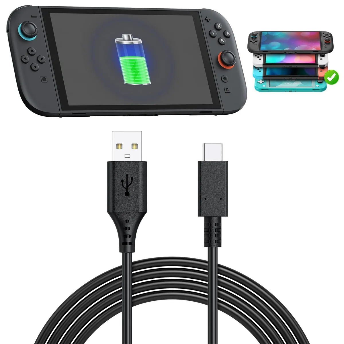 FYOUNG NT12-XX-1-1 USB Type-C cable 10 ft black — product photo