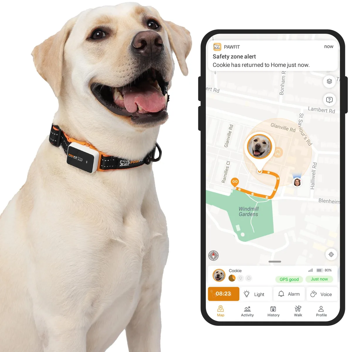 Adventure Labs Pawfit 3 White activity tracker — product photo