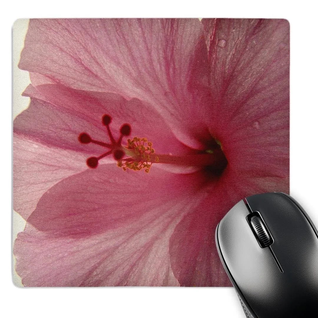 Bipra Bipra 2 in 1 Accessory Dewey Pink Hibiscus .25 Inch — product photo