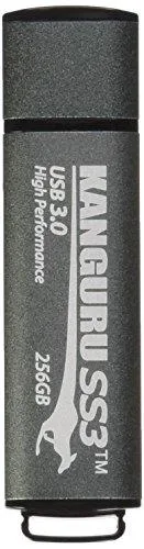 Patriot Memory Patriot Memory Supersonic Rage Lite 256GB USB 3.2 Gen 1 Flash Drive — product photo