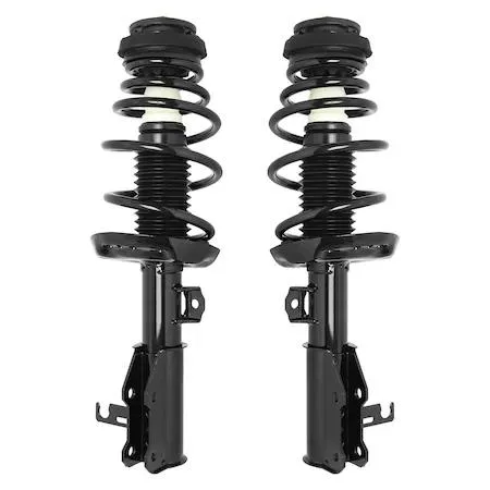 Pair of silver front strut assemblies with coil springs and top mounts