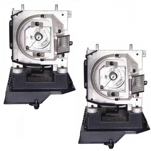 Two new DLP replacement lamps in sealed packaging