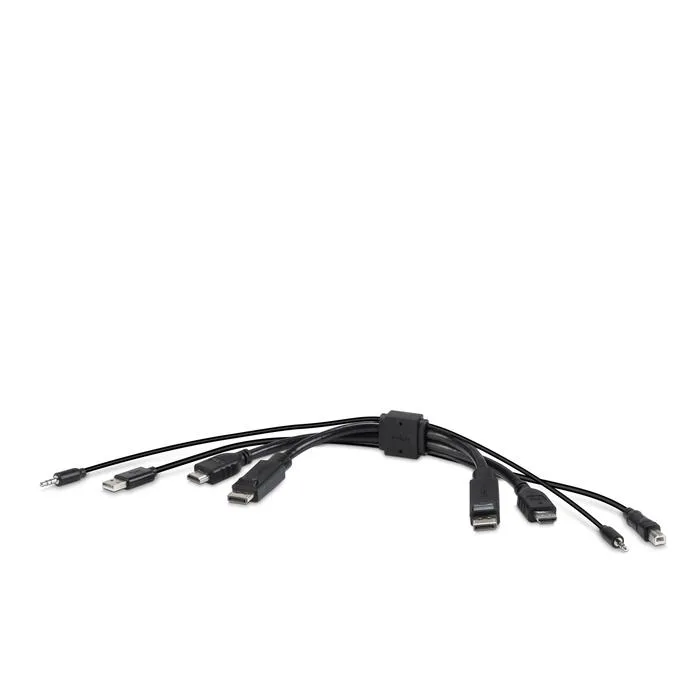 Belkin Belkin F1DN2CC-HHPP10T Secure KVM Combo Cable 10 FT — product photo