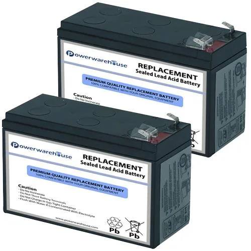 Two sealed 12V lead-acid battery cartridges in plastic housing
