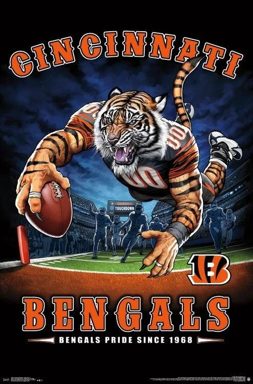 Cincinnati Bengals end zone poster print 22 by 34 inches