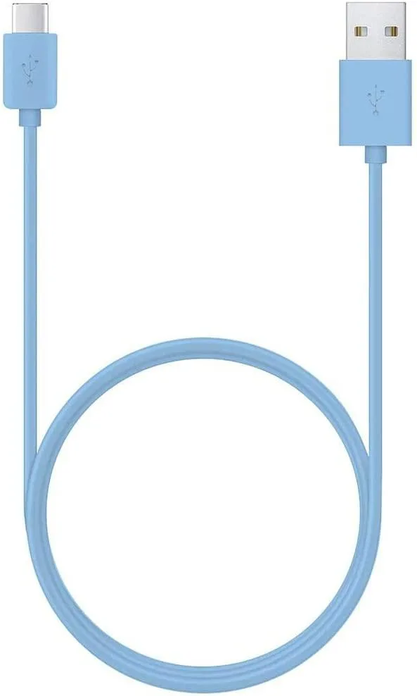 AMERICAN EXCHANGE TIME AMERICAN EXCHANGE TIME PlayZoom Blue Charger Cable 1 ft — product photo