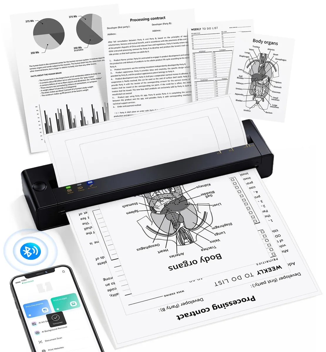 Compact white thermal receipt printer with rounded edges and a paper feed slot