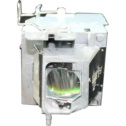 OPTOMA OPTOMA X341-LAMP Projector Lamp 195W 7000 hrs — product photo