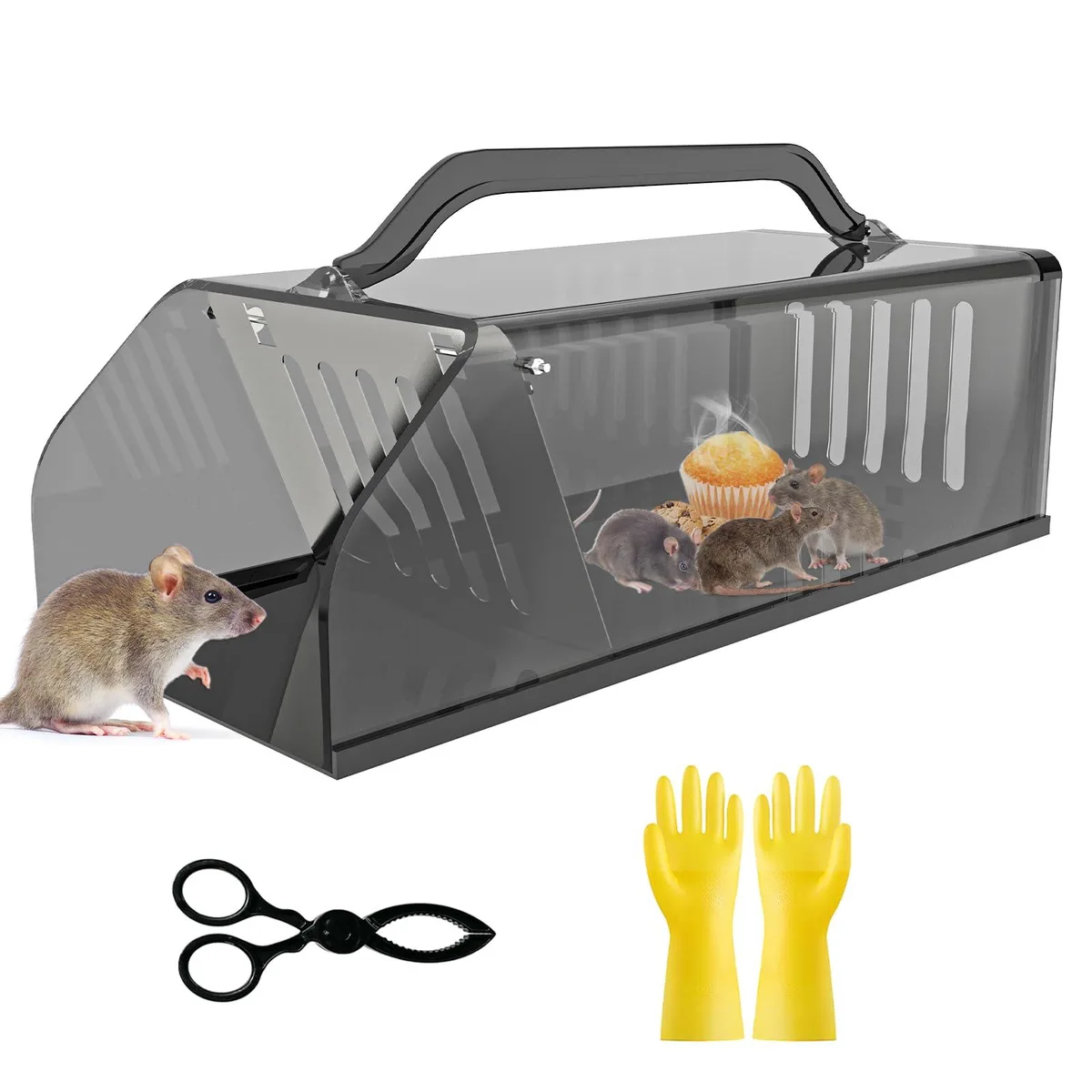 A green rectangular live-catch cage trap with sliding release door and carry handle