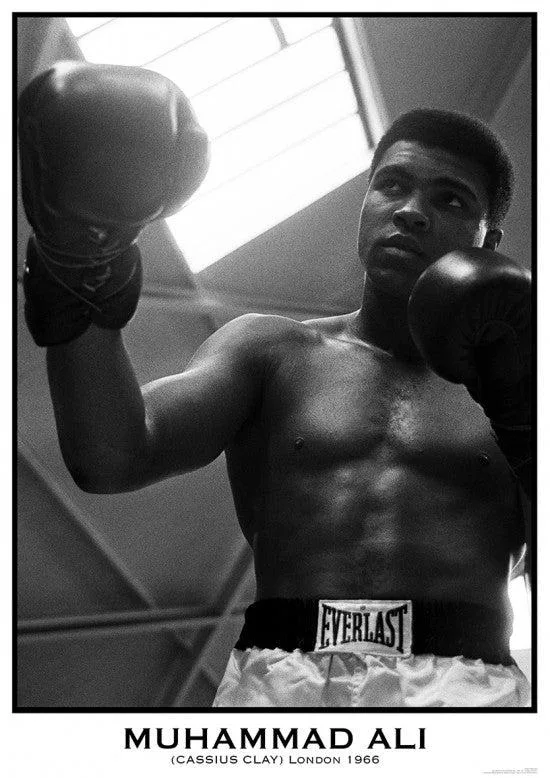 Poster print of Muhammad Ali boxing gloves, 34 by 22 inches