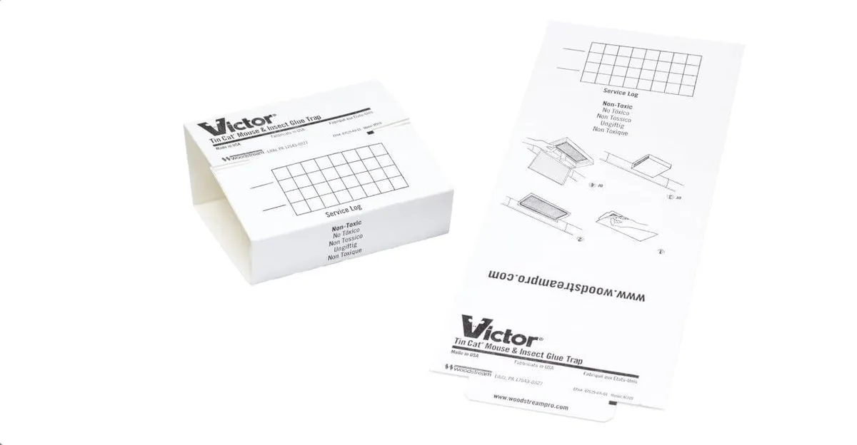 White rectangular glue boards in a cardboard box