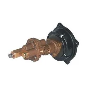 Dayton Dayton 4KHC2 Rotary Gear Pump Head 1/2 in NPT 10.2 gpm 125 psi — product photo