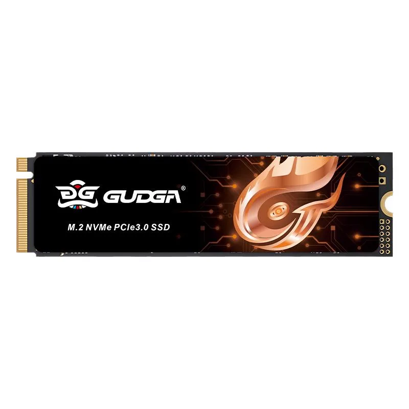GUDGA GUDGA GVY 256GB M.2 2280 PCIe 3.0x4 NVME internal SSD with Heatsink — product photo